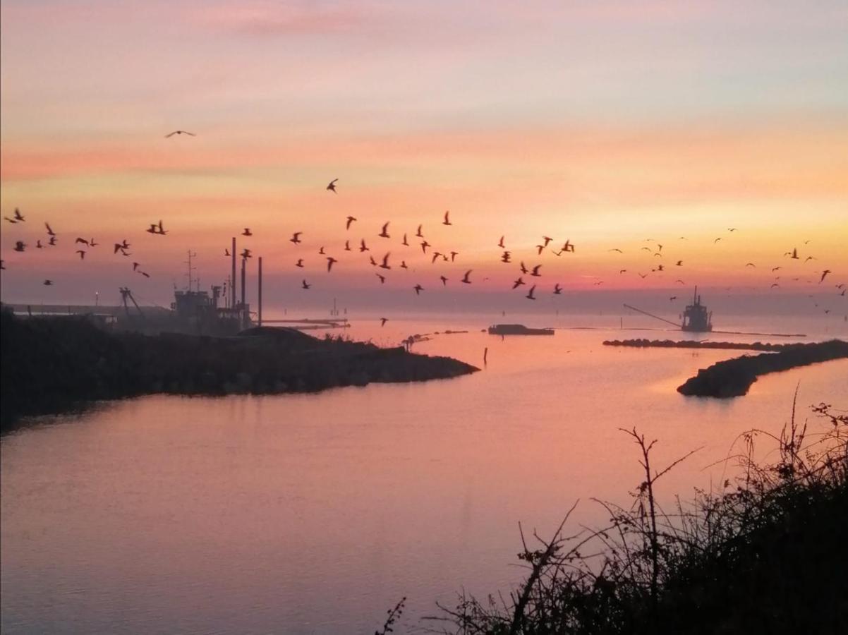 Oasi Bianca Hotel Pomposa Buitenkant foto