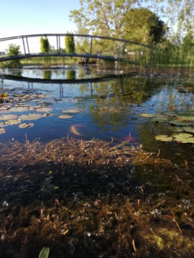 Oasi Bianca Hotel Pomposa Buitenkant foto